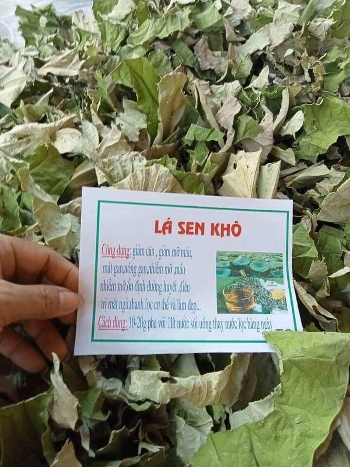 1kg Lá Sen Khô xanh đẹp