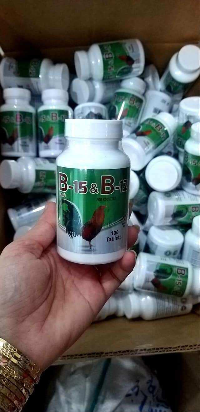 B1215 hủ 100v hừng gà cho gà