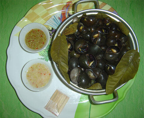 500g cơm mẻ nhà nuôi
