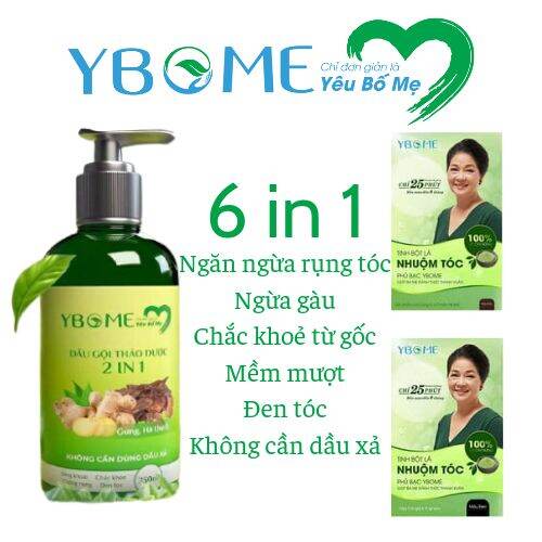 Dầu gội thảo dược 2in1 tác dụng 6in1 gừng hà thủ ô ybome