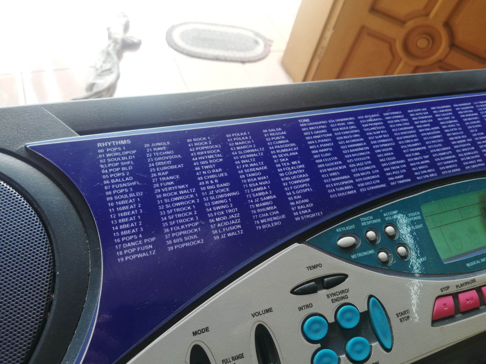 Đàn organ Casio LK 55