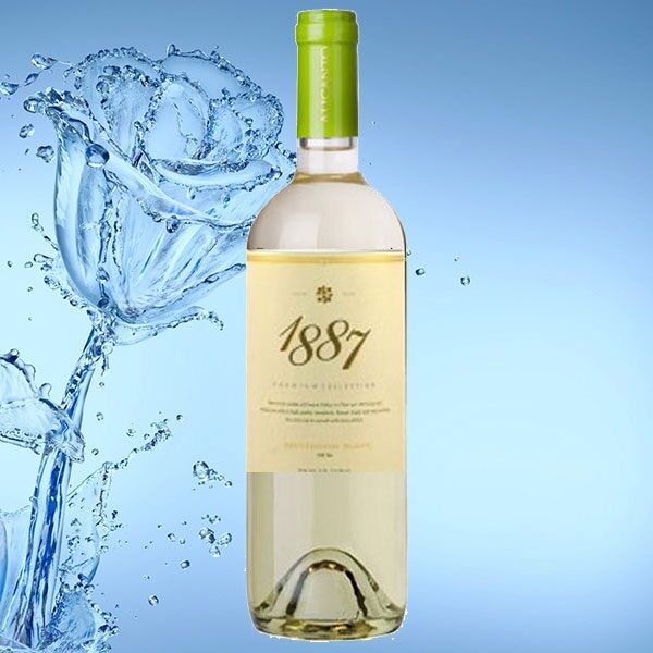 1887 Sauvignon Blanc