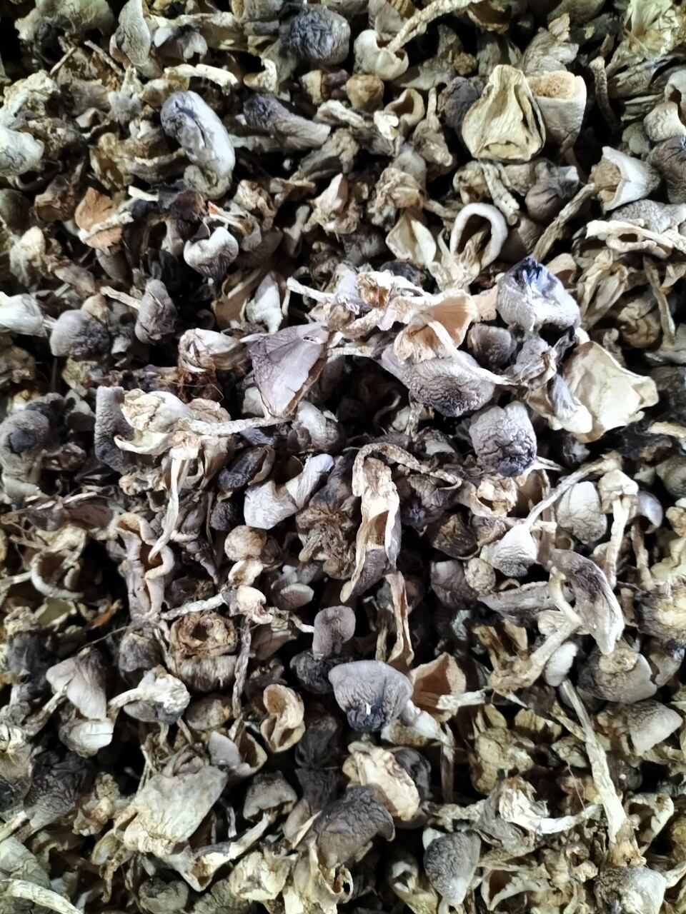 500g Nấm Rơm Nở Sấy Khô An Nhiên