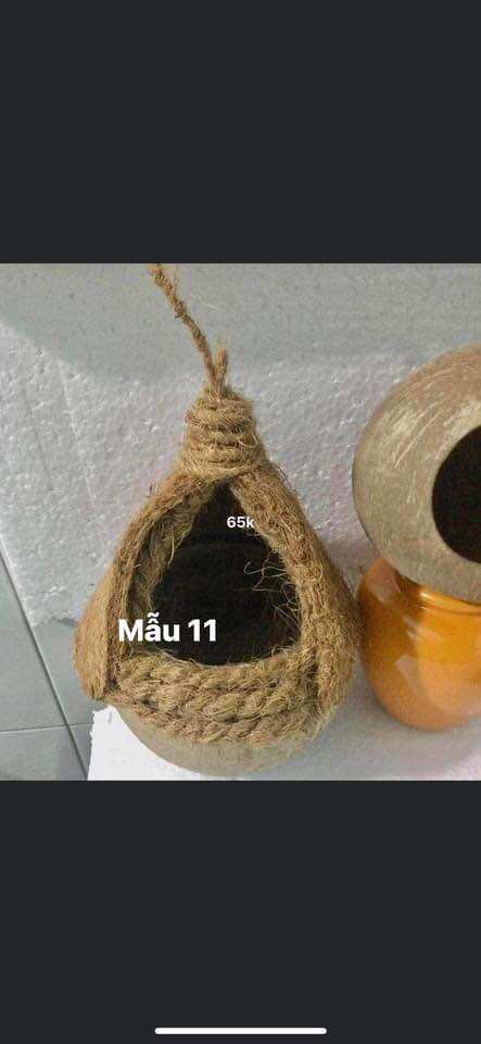 Tổ gáo dừa