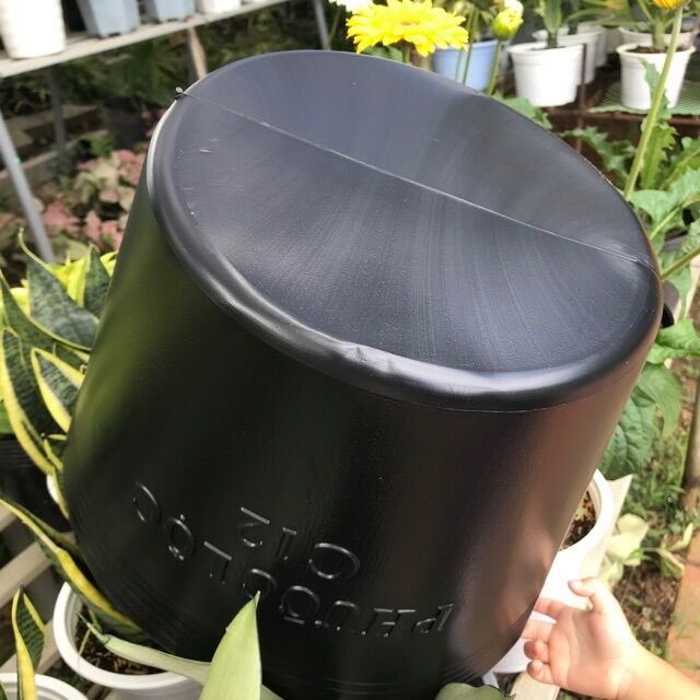 Chậu trồng sen, súng C12 bít lỗ (loại dày)