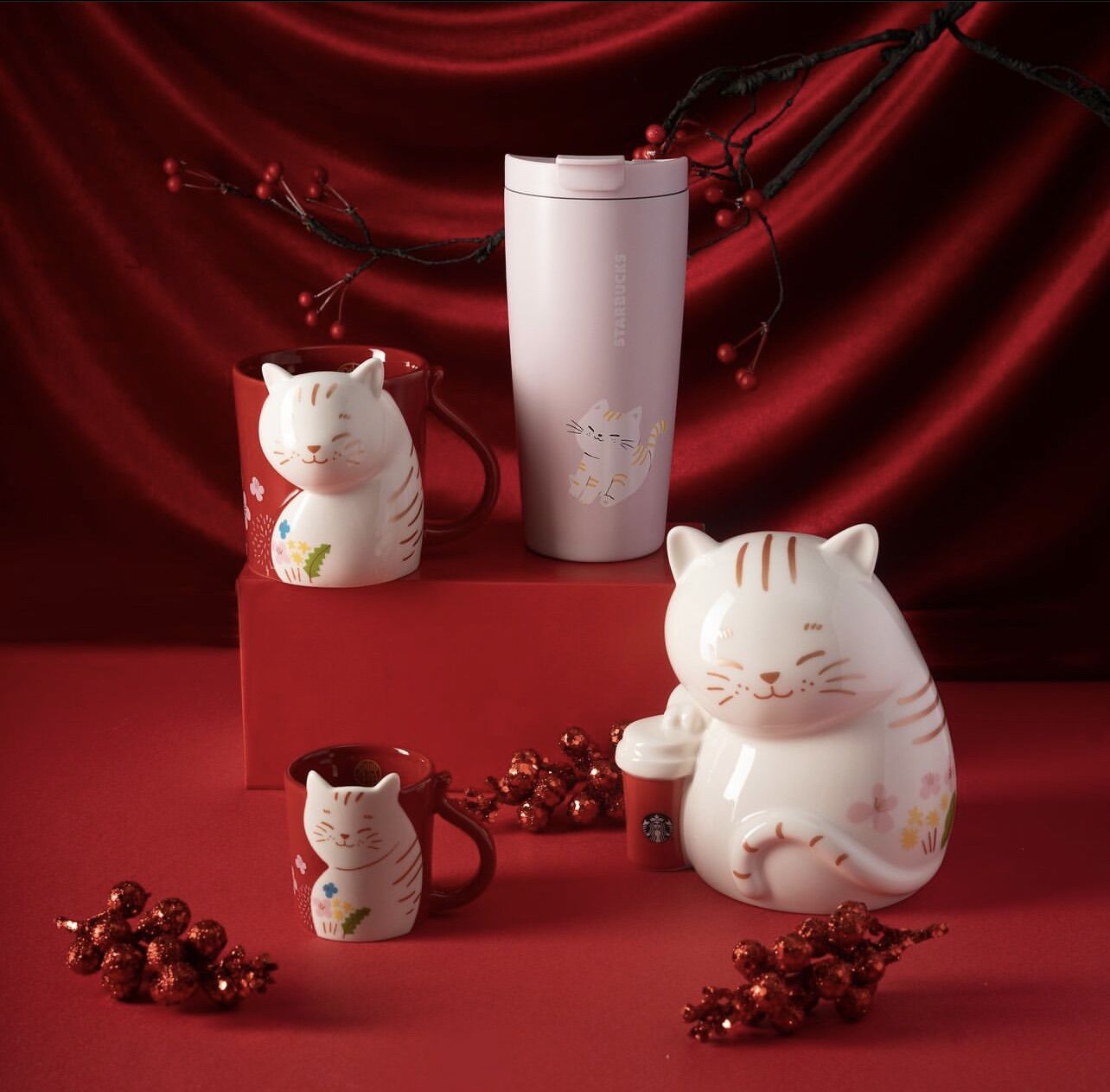 Bình STARBUCKS - YEAR OF THE CAT 2023