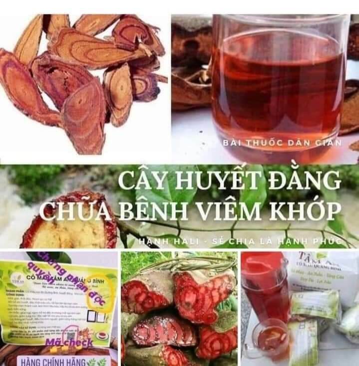 1kg cây huyết đằng bổ máu tăng cân