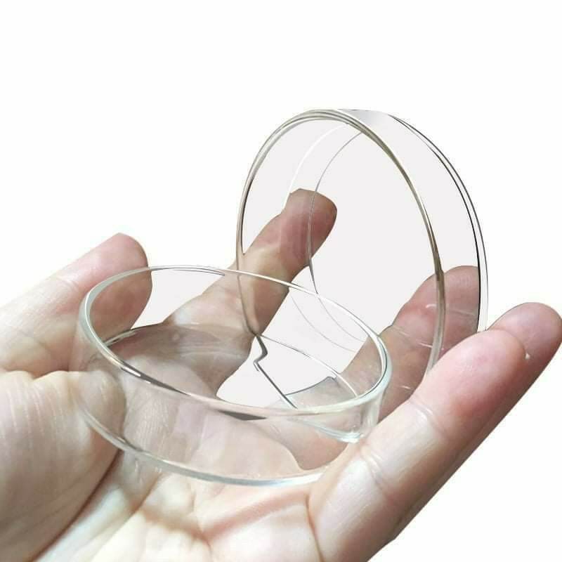 Chén thủy tinh đựng thức ăn cho tép cảnh