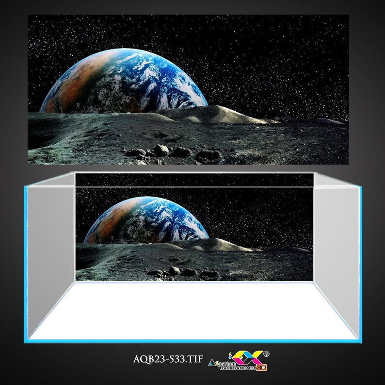 Tranh 3D dán hồ cá - bể cá siêu đẹp và nét có keo sẵn trên bề mặt in theo kích thước yêu cầu AQB23-5