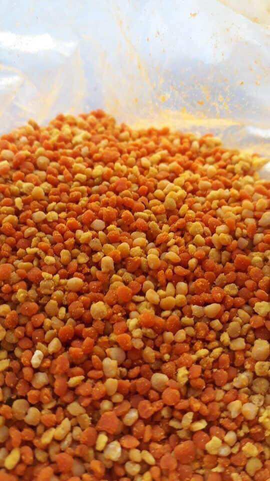 PHẤN HOA MẬT ONG RỪNG cực kì hiếm