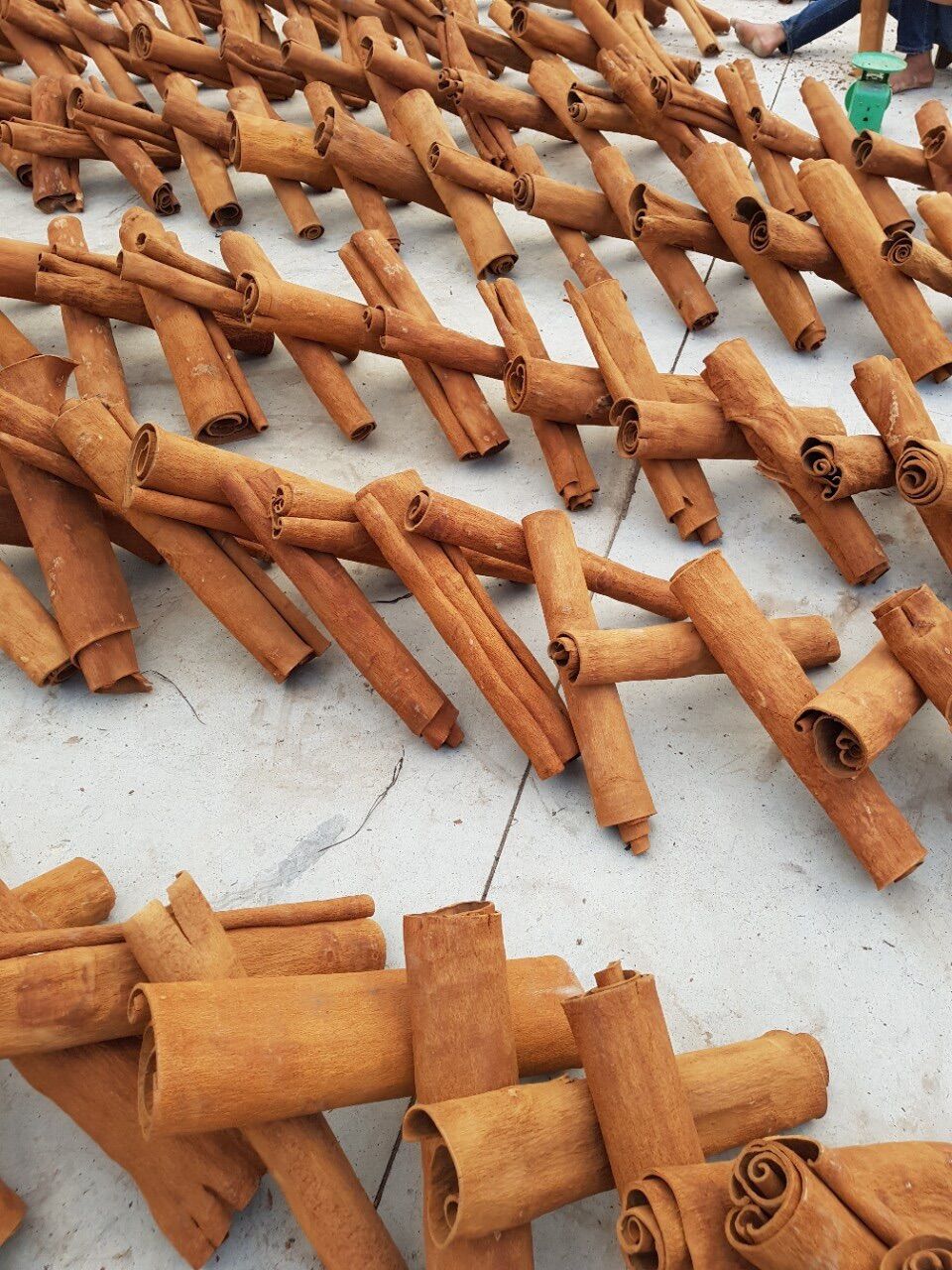 QUẾ BÀO HÀNG A YÊN BÁI