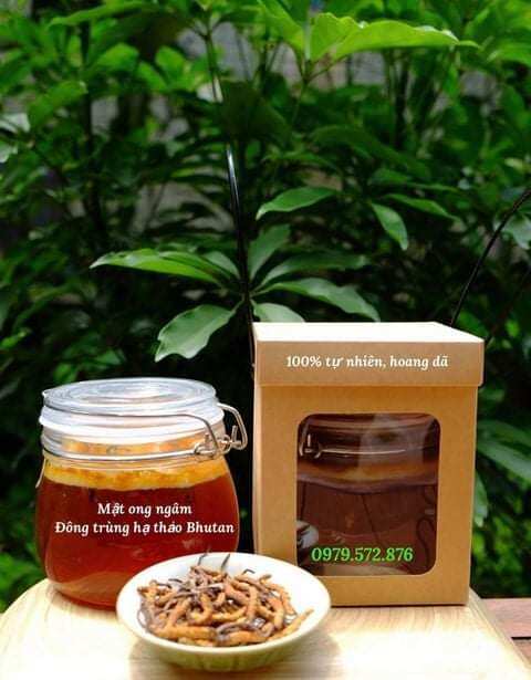 50 hộp giấy đựng mật ong có quai xách