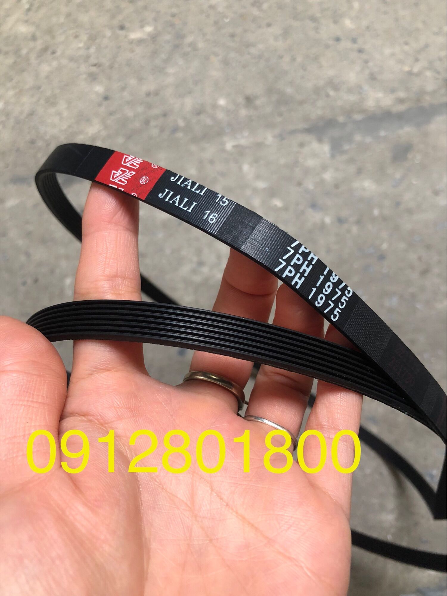 Dây curoa máy sấy Electrolux 7PH 1975