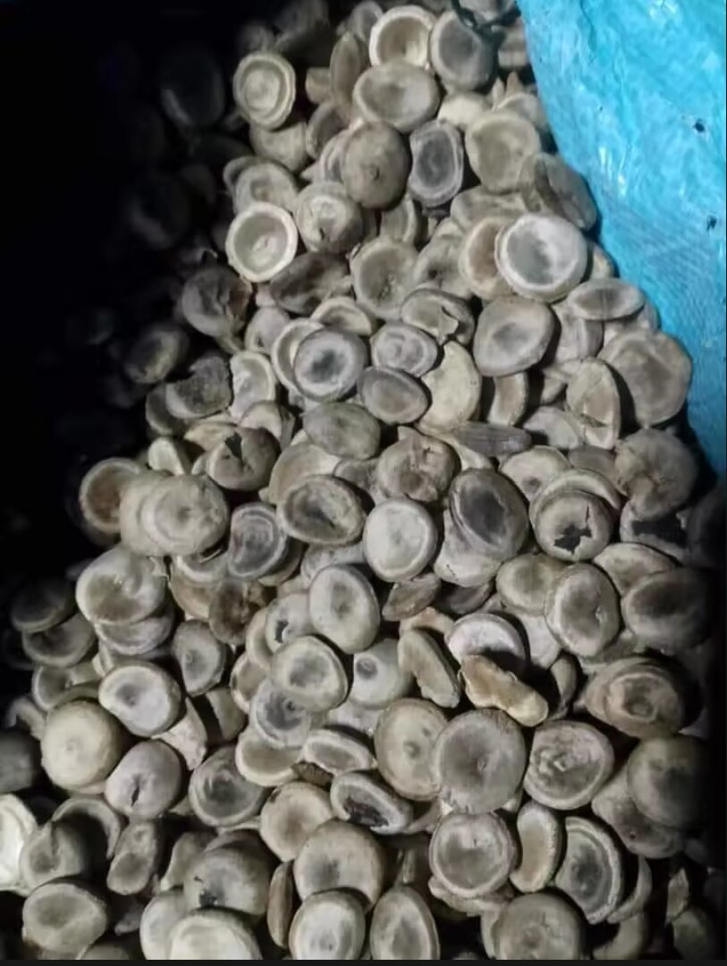 100g hạt mã tiền đen nhung loại 1