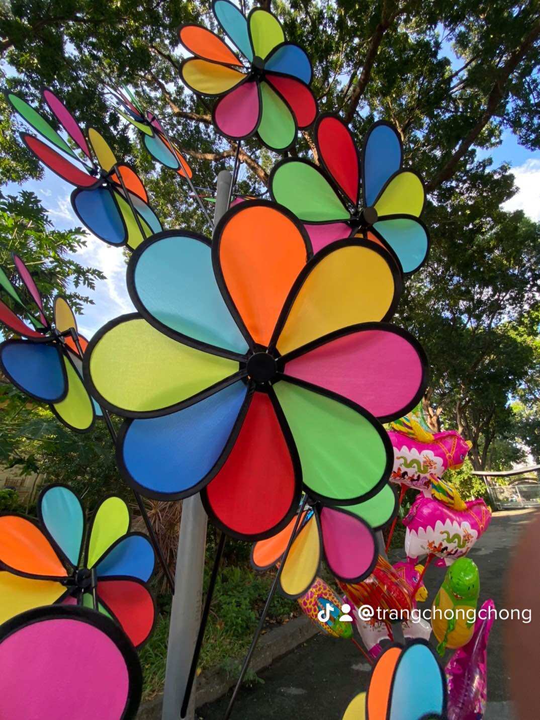 [HCM]Chong chóng đủ màu 30cm