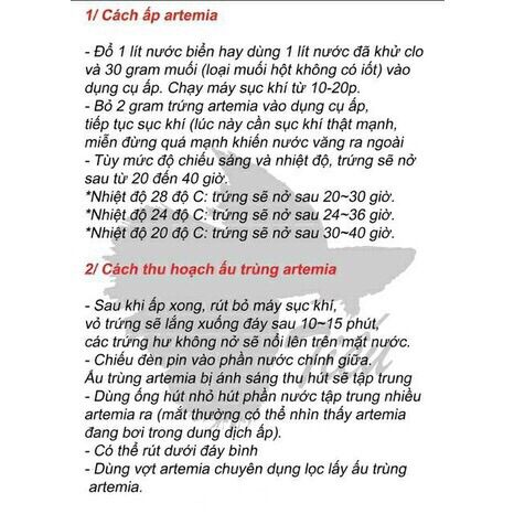 Artemia lon xanh - chiết lẻ lọ 50g