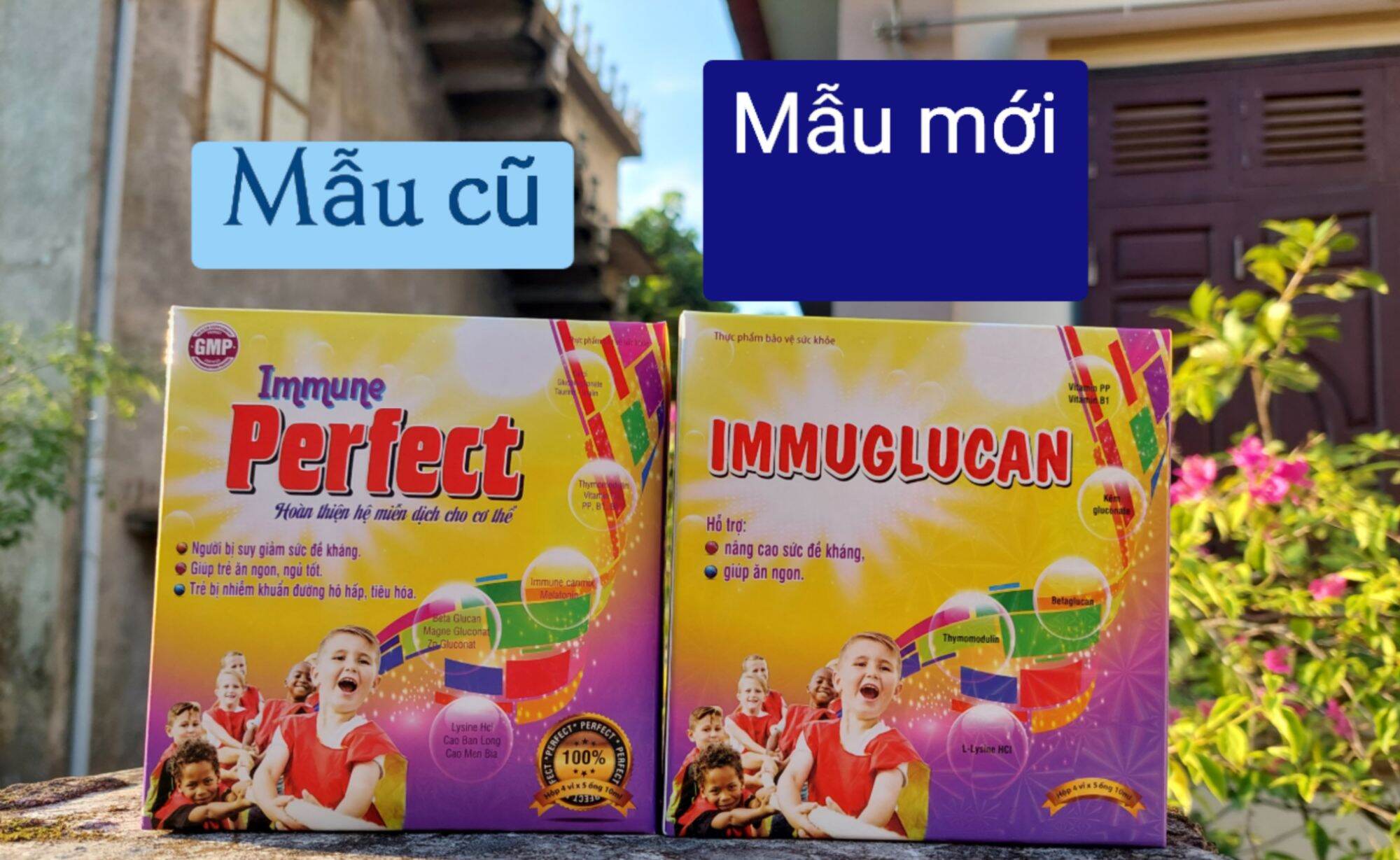 Siro ăn ngon ngủ ngon Immunglucan