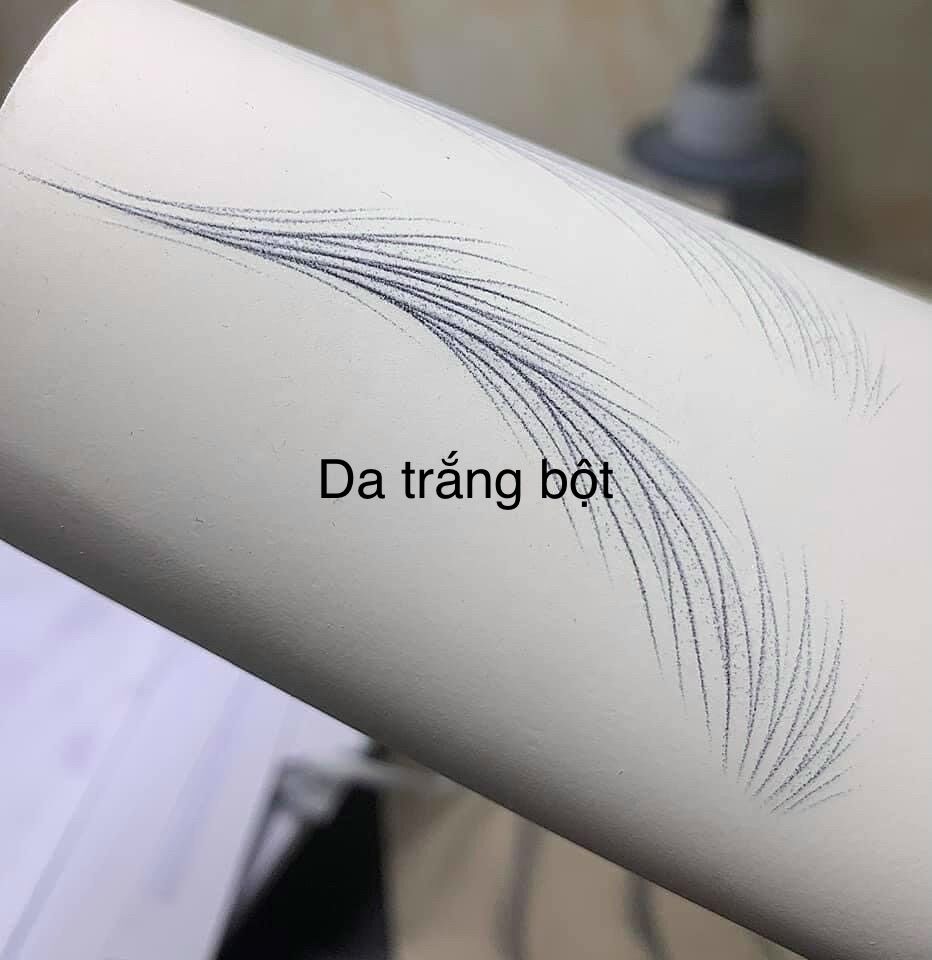 Da Giả Tập Phun Xăm Thẩm Mỹ