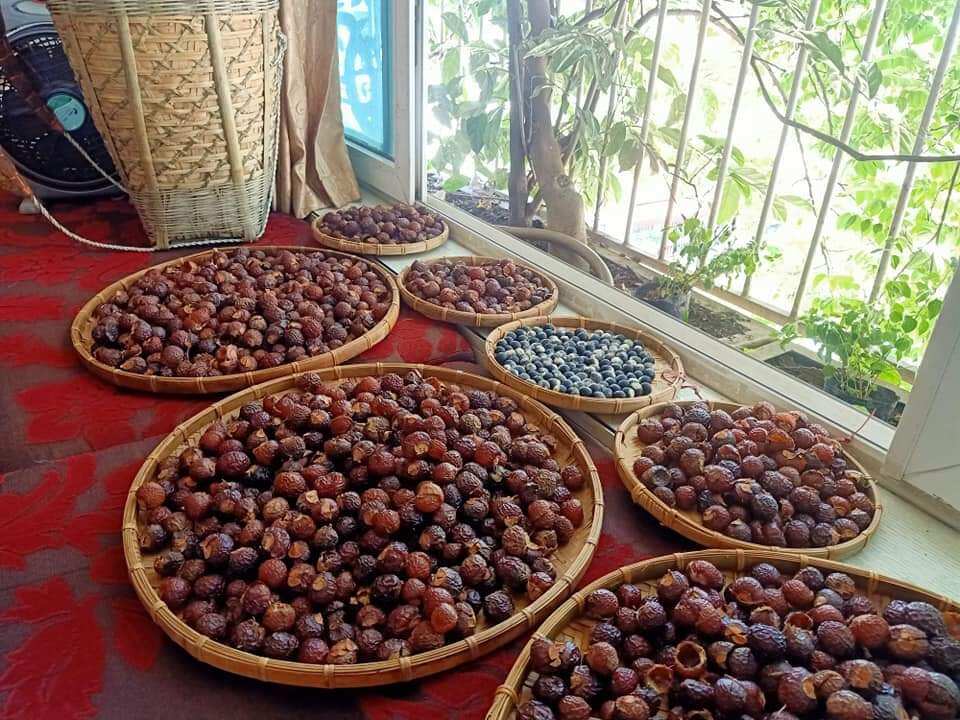 Combo 5kg bồ hòn tách hạt