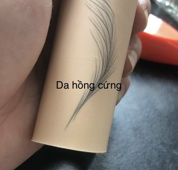 Da Giả Tập Phun Xăm Thẩm Mỹ