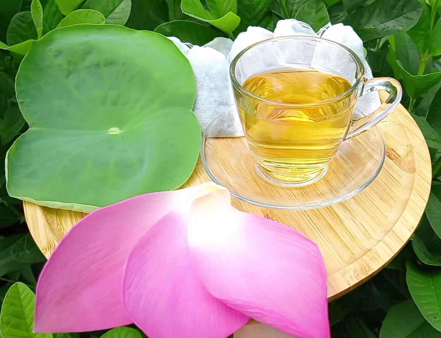 Trà lá sen hoa cúc 30 túi lọc gảm cân giảm mỡ máu