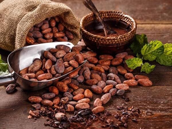 Bột Ca cao nguyên chất Đaklak