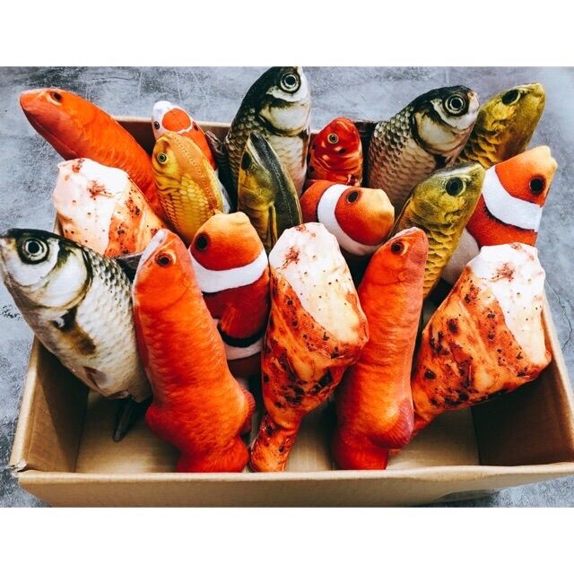 Cá đồ chơi catnip cho mèo