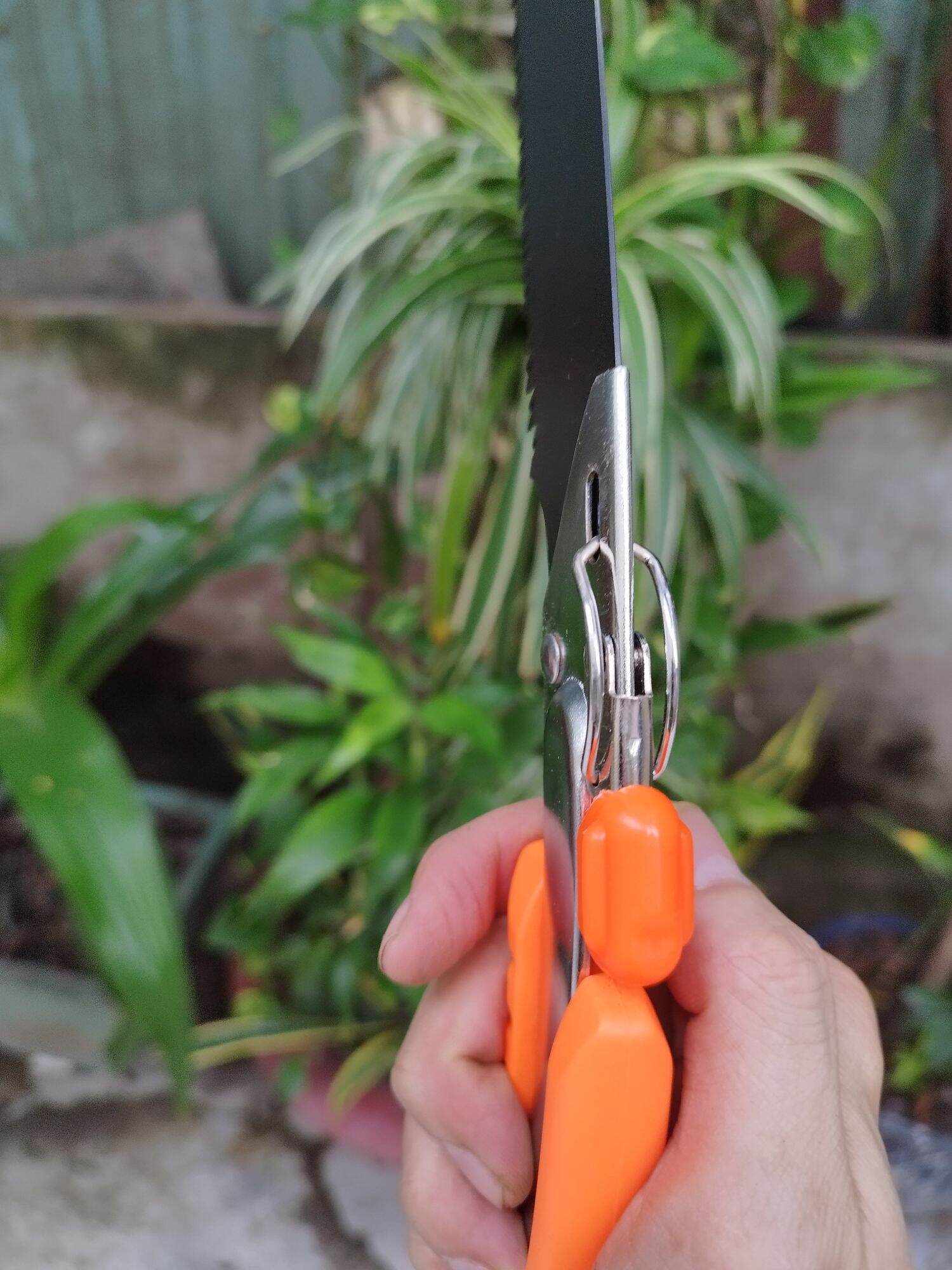 CƯA CẦM TAY KAPUSI CAO CẤP