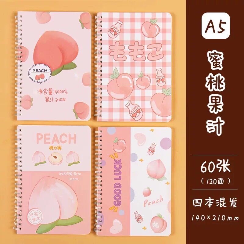 Sổ lò xo A5 120 trang siêu xinh