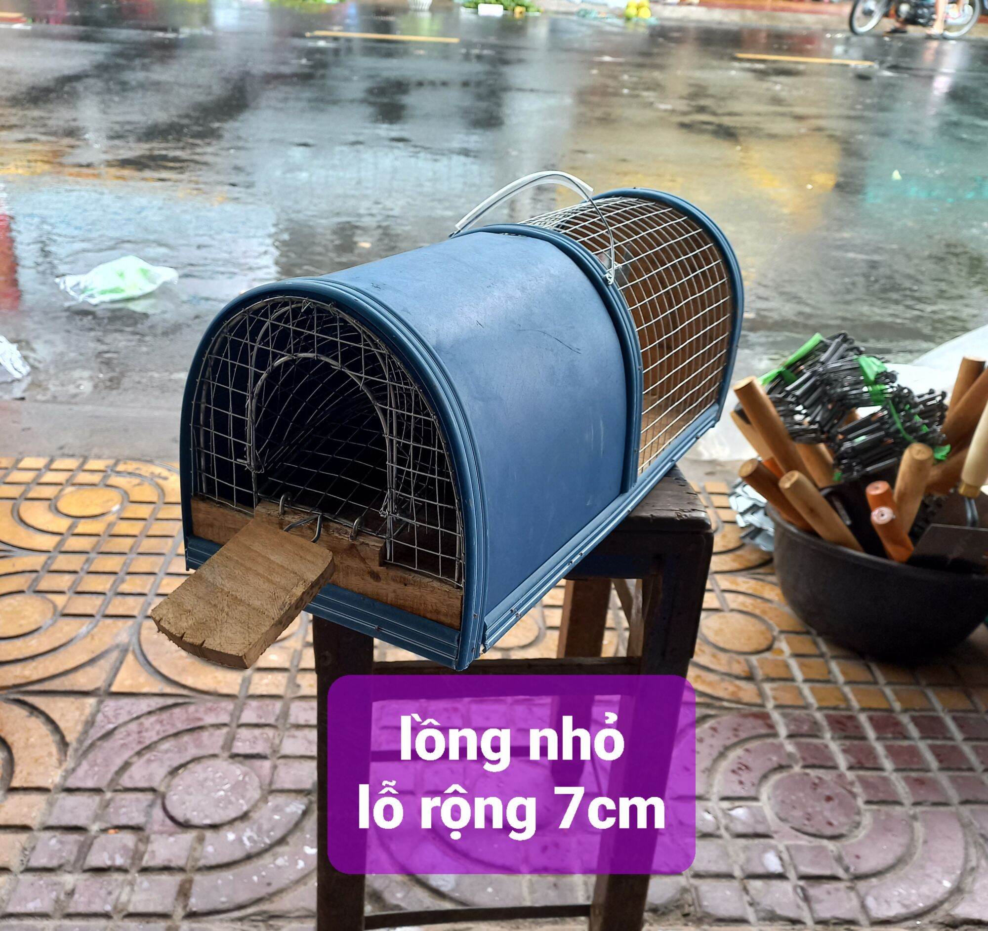 bẫy bắt chuột thông minh