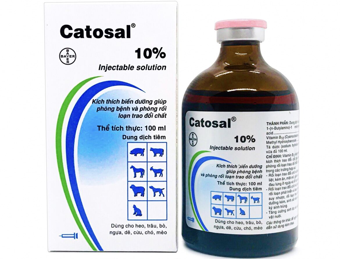 Catosal 10% - Thuốc bổ cao cấp cho chó, mèo, gà đá...100ml