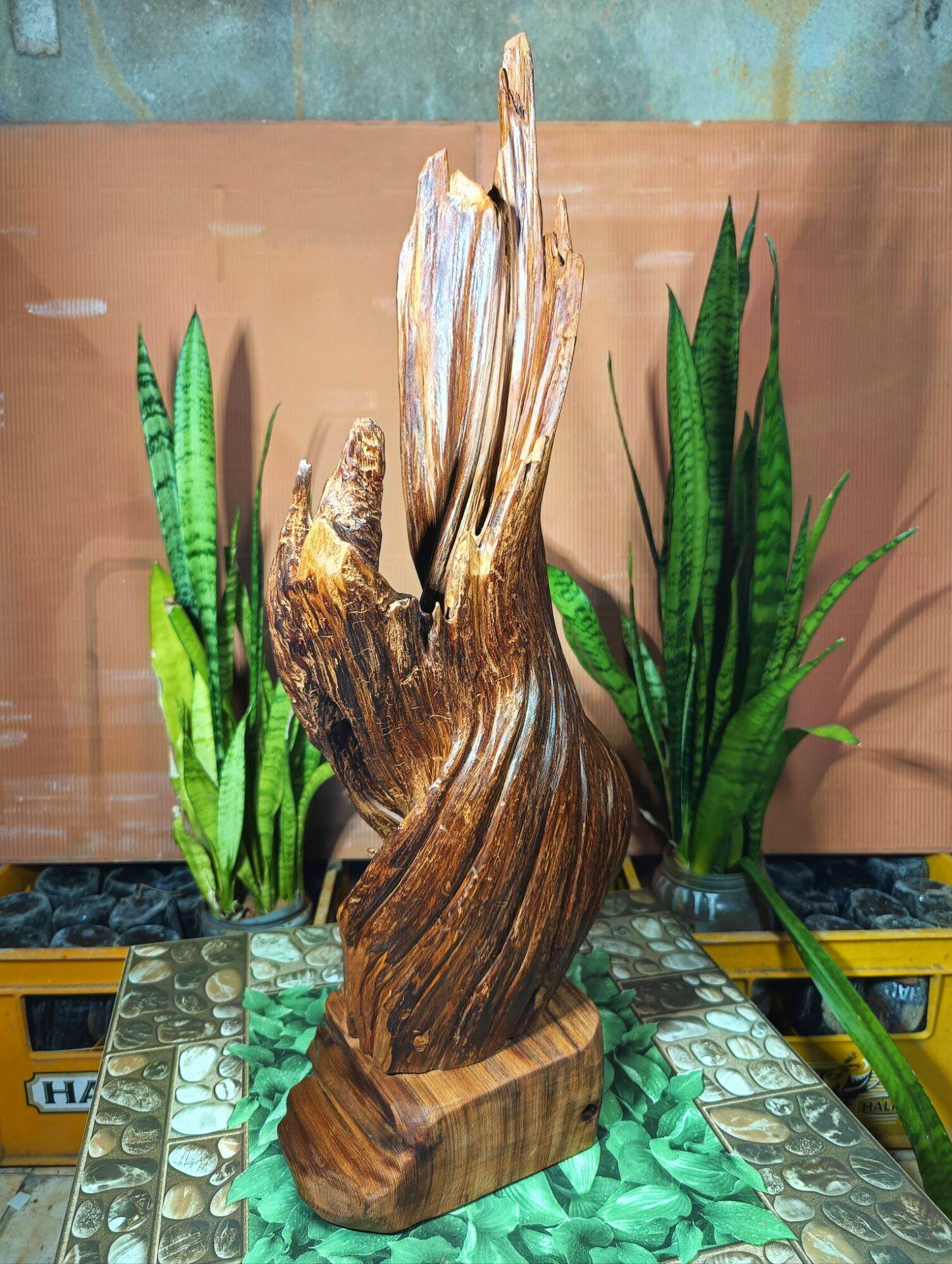 lũa gỗ thơm ngọc am đỏ hà giang