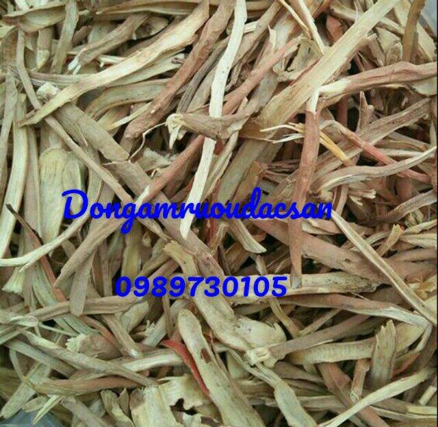 Sâm cau đỏ chuẩn rừng khô thơm