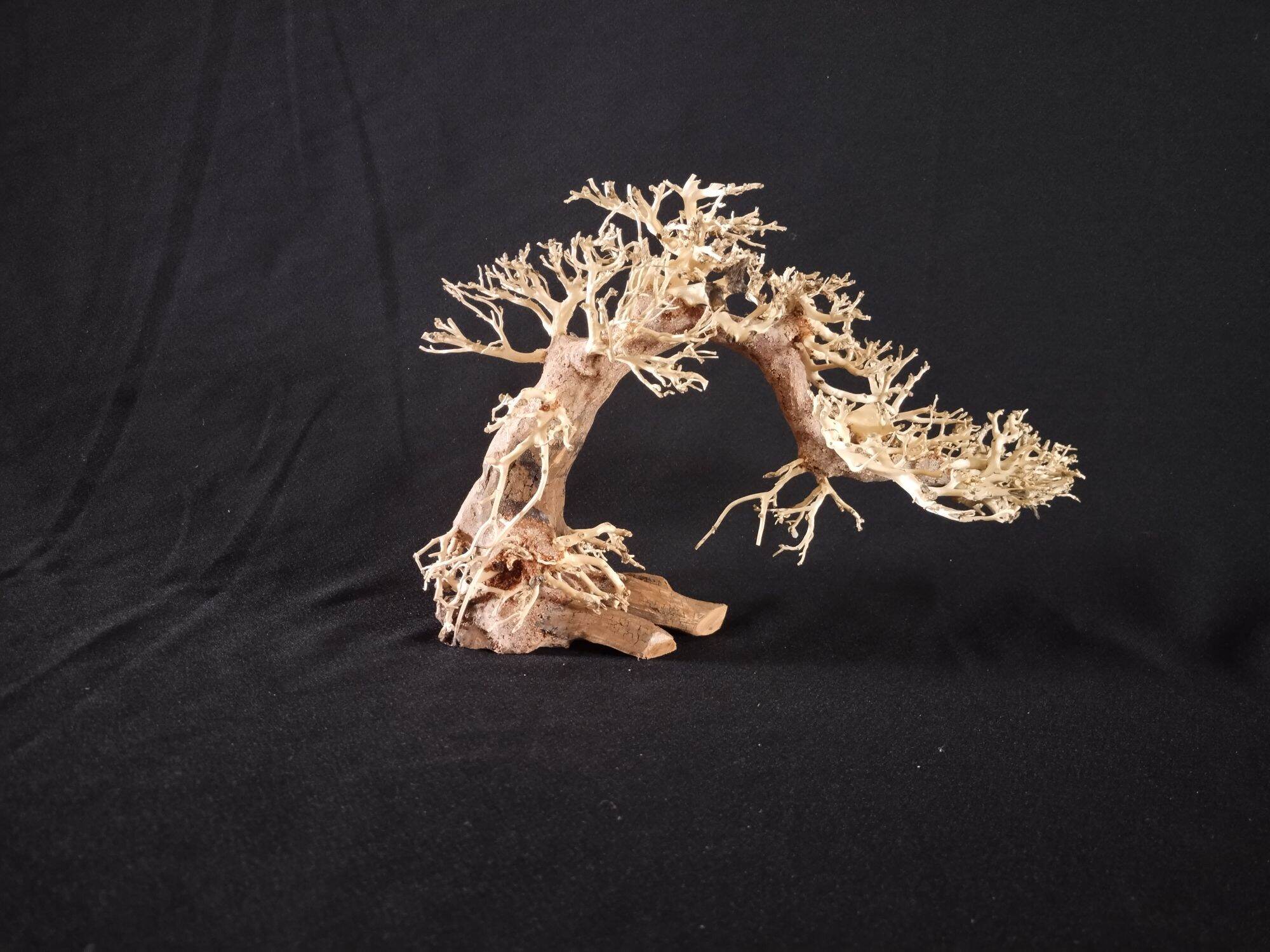 Lũa bonsai thủy sinh mini cho hồ cá 10 x 15 cm