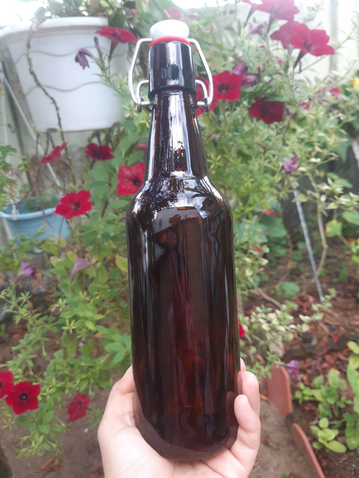 chai thủy tinh màu nâu,nắp bật 500ml ( 34k/chai)