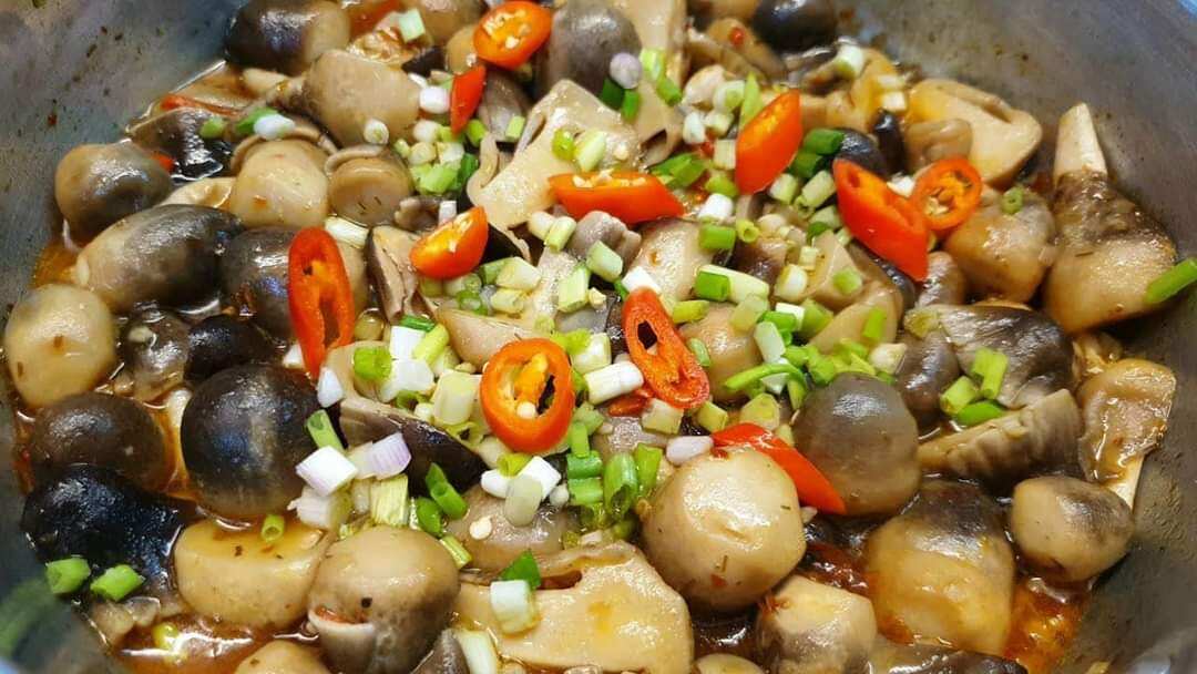 NẤM RƠM BÚP SẤY KHÔ 100G