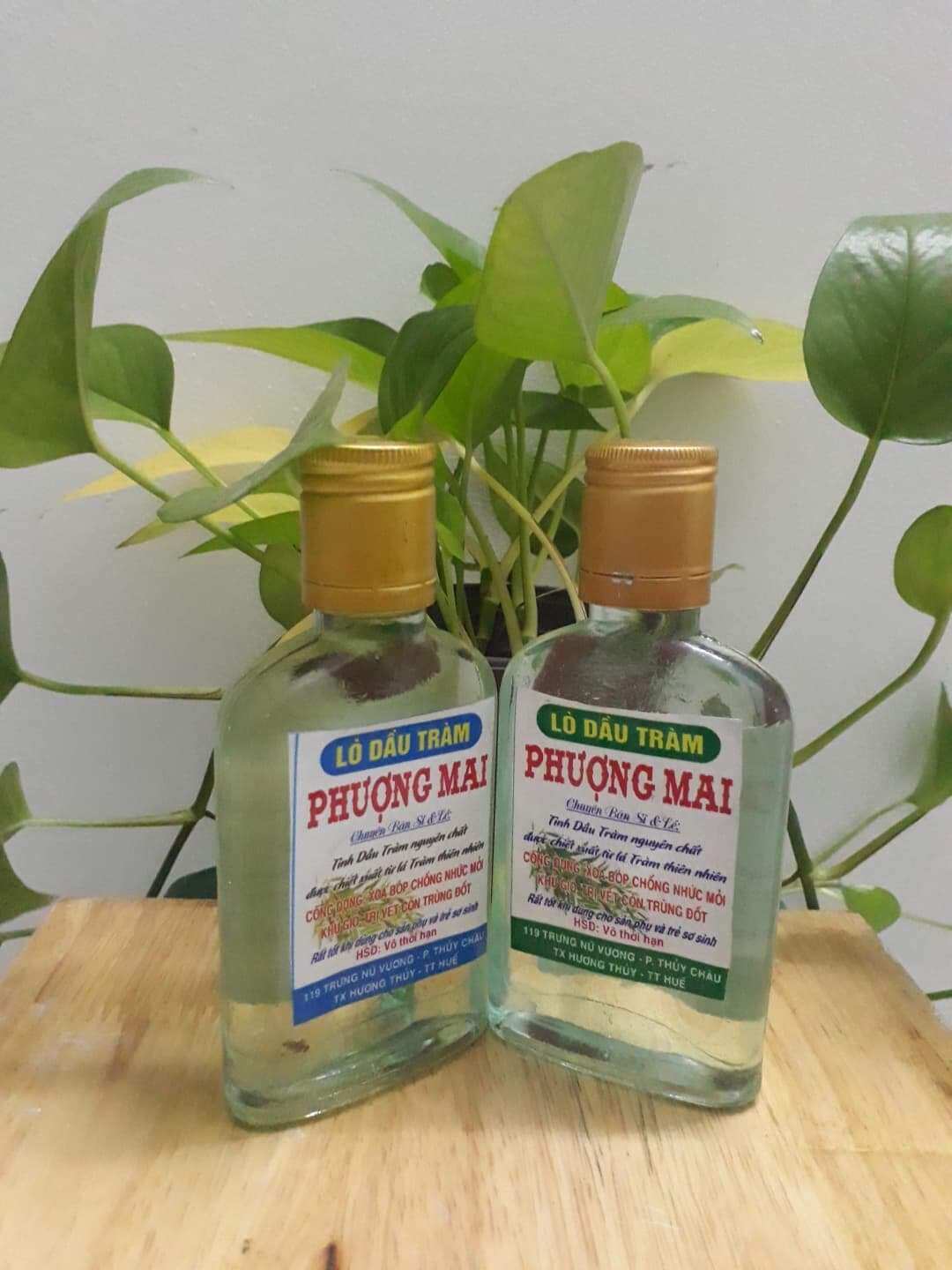 Combo Tinh dầu tràm Huế Phượng Mai 100ml và 50ml