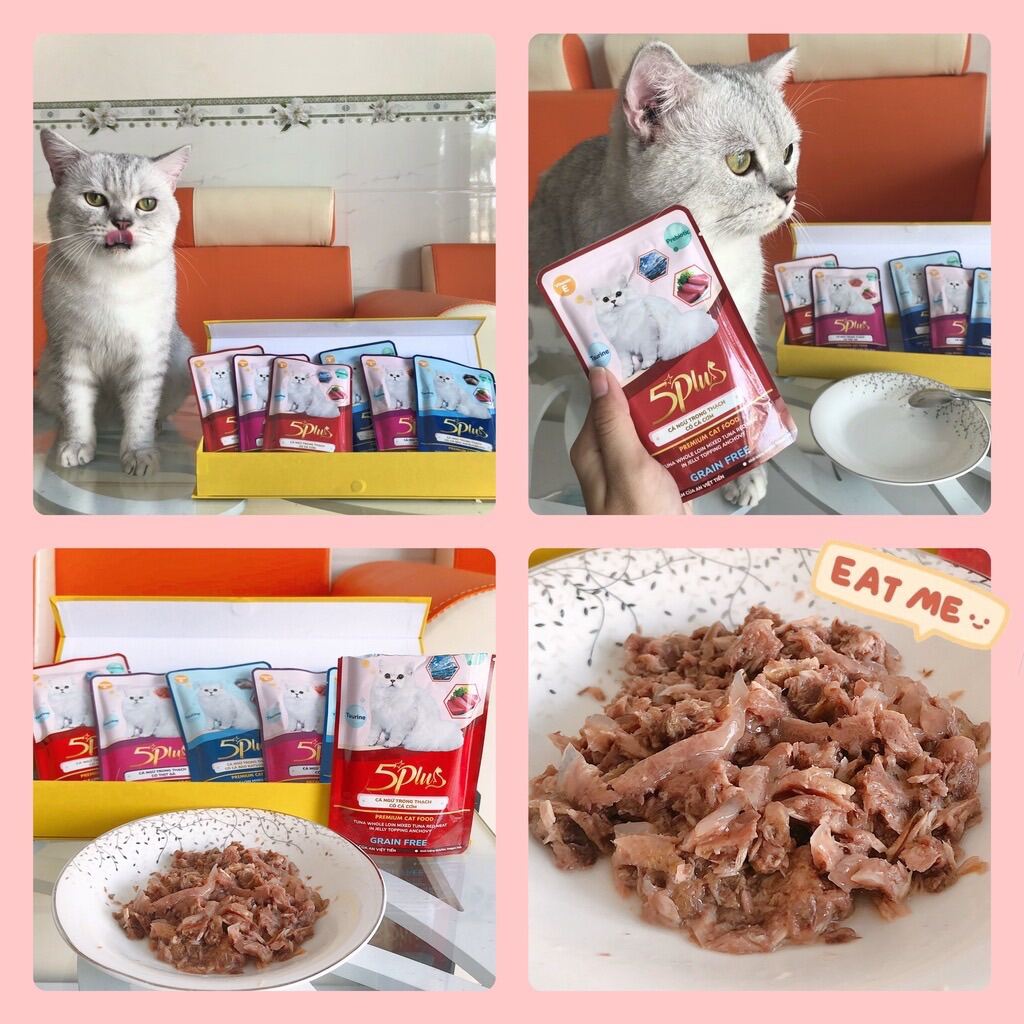 Gía Dùng Thử Pate Cao Cấp Dạng Thạch 5plus 100% Thịt Thật Dành Cho Mèo Kén