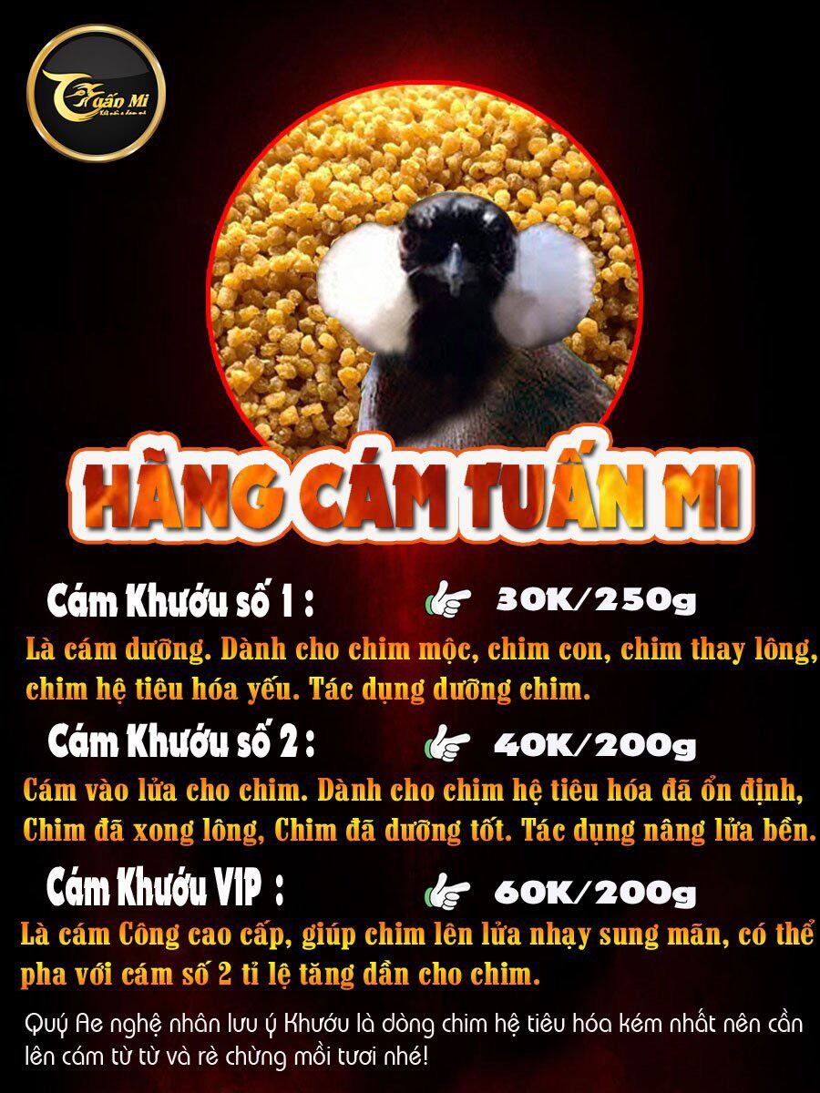 Cám Khướu số 2 ( Tuấn Mi )