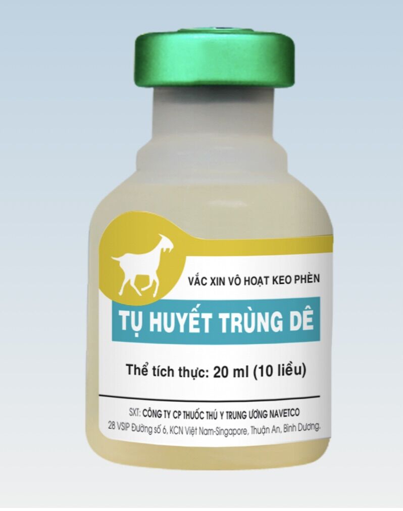 1 chai tụ huyết trùng cho dê, cừu 20ml.