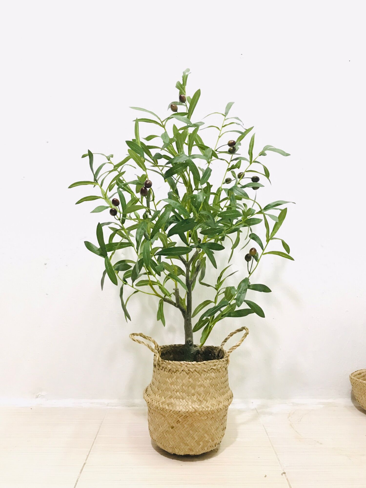 Cây oliu - cây ô liu giả 85cm - hằng decor