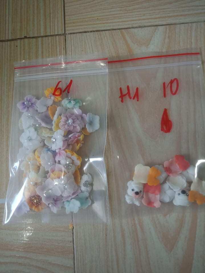 Set hoa bột nail