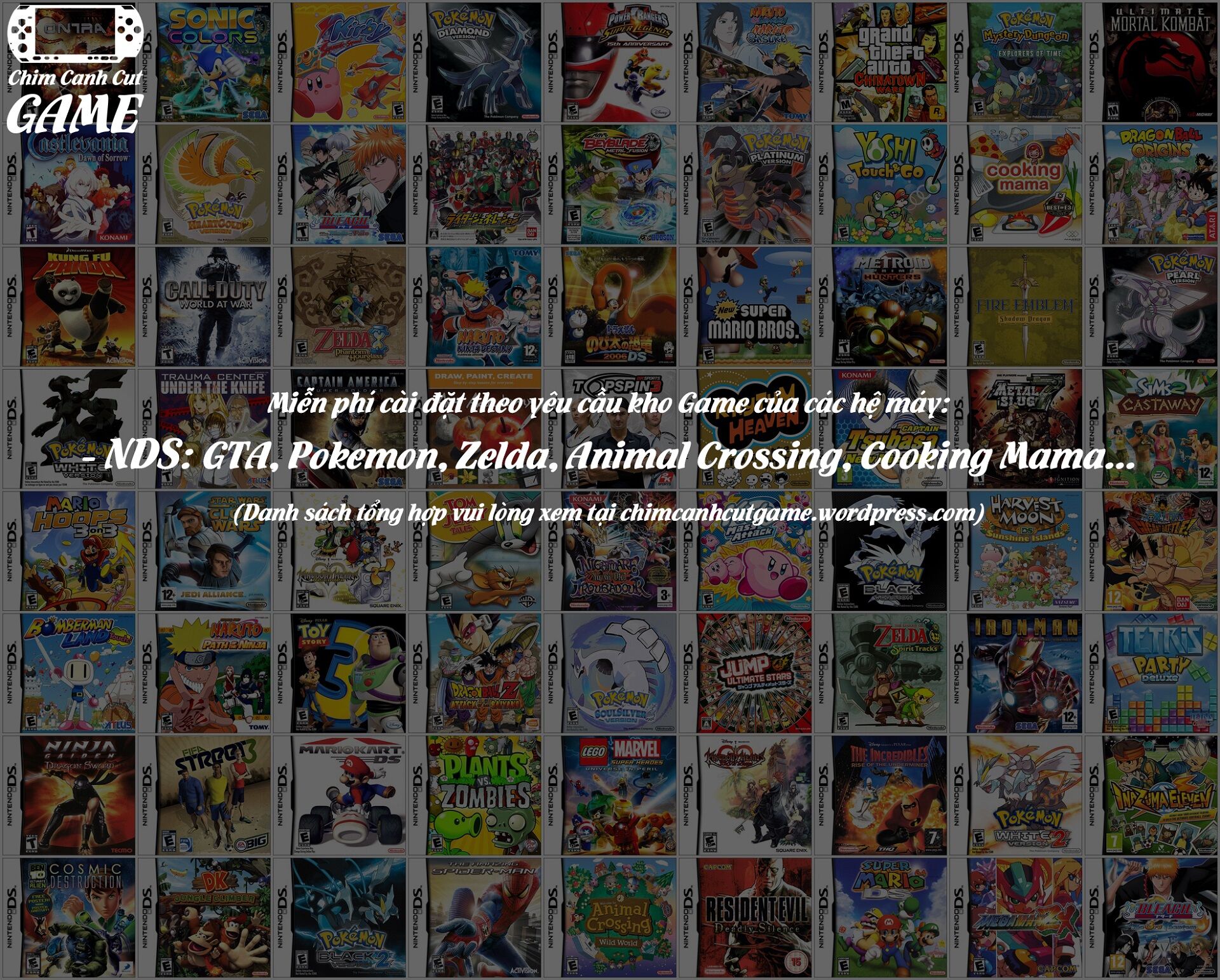 Thẻ nhớ cho máy Nintendo DSi (Hỗ trợ cài Twilight + Copy Game Free)