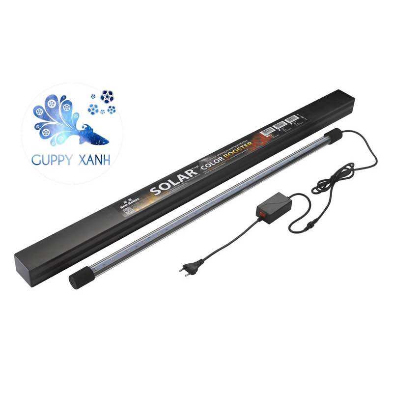 Đèn Led Neo SoLar RGB đèn trong nước tăng cường màu sắc cho cá - GuppyXanh