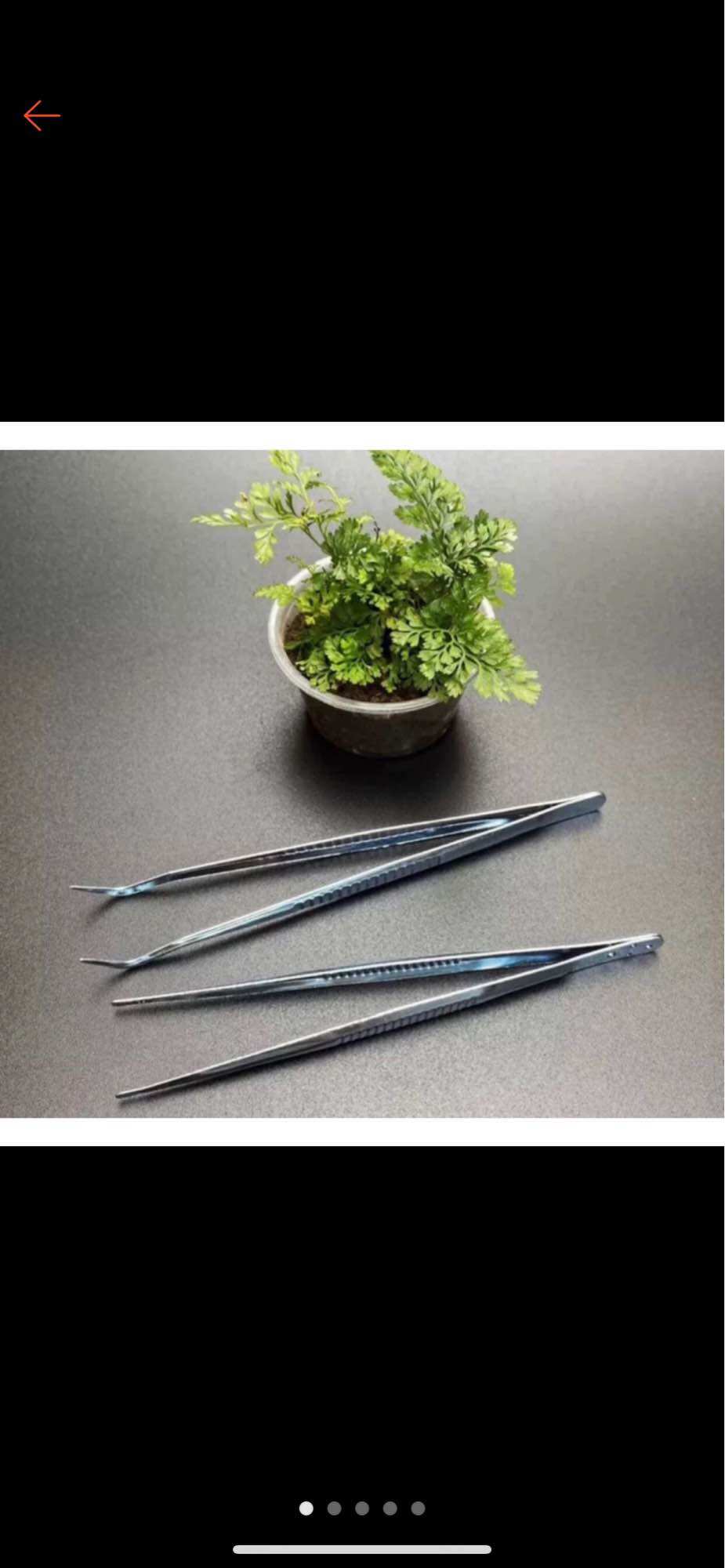 Kẹp nhíp gắp thức ăn cho thú cưng nhỏ , setup bể thủy sinh