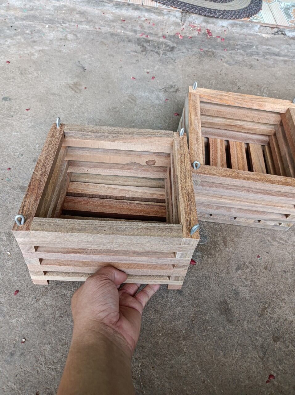 combo 5 chậu gỗ trồng lan hình vuông 20x20cm