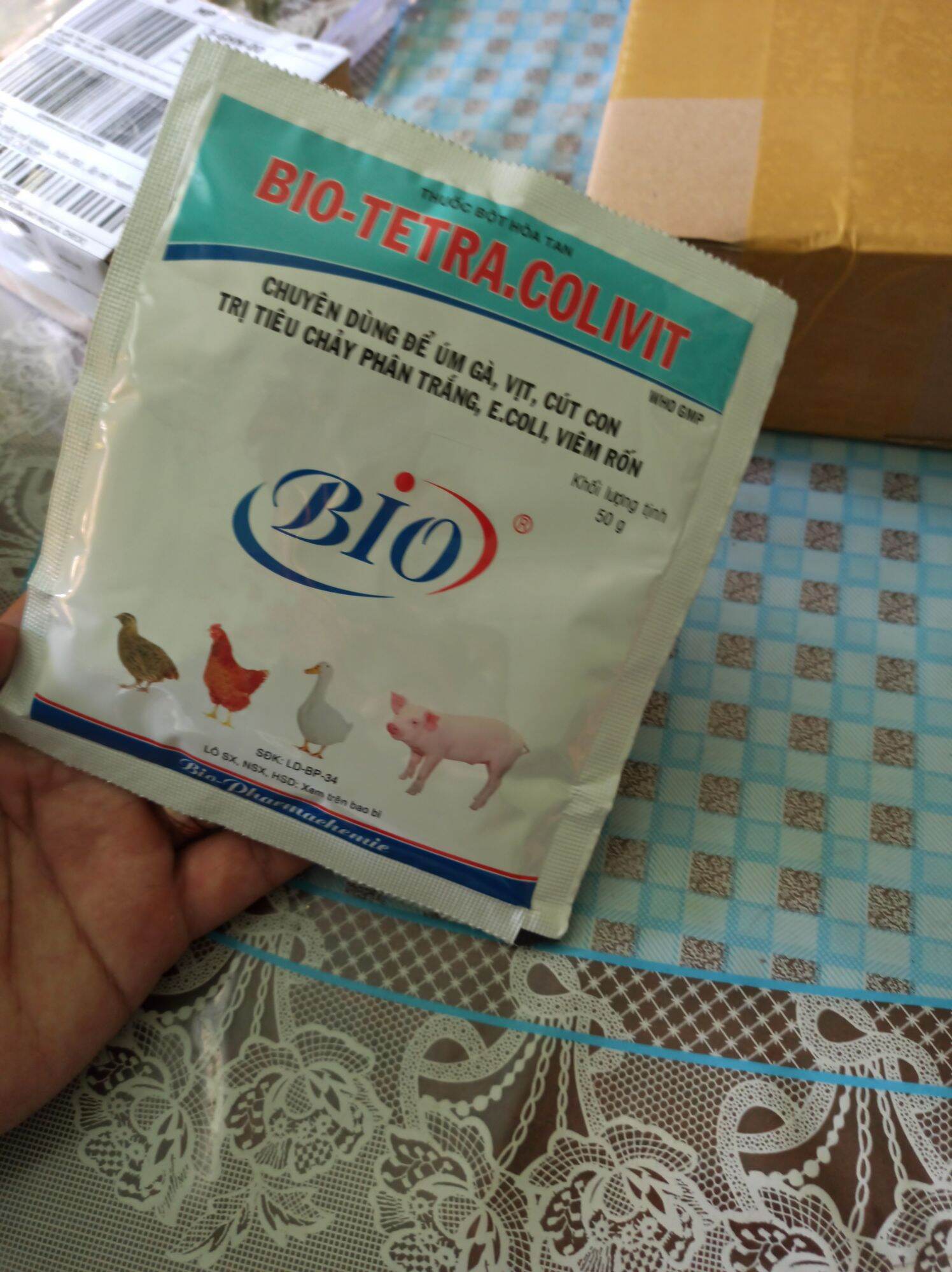 Úm Gà Vịt