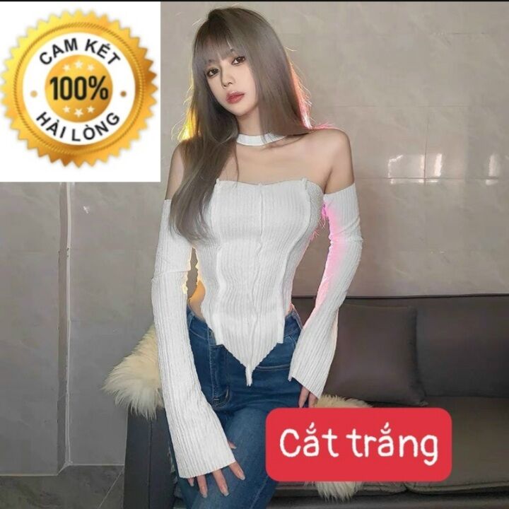 Áo thun bẹc vai cực hot, áo kiểu nữ, su su