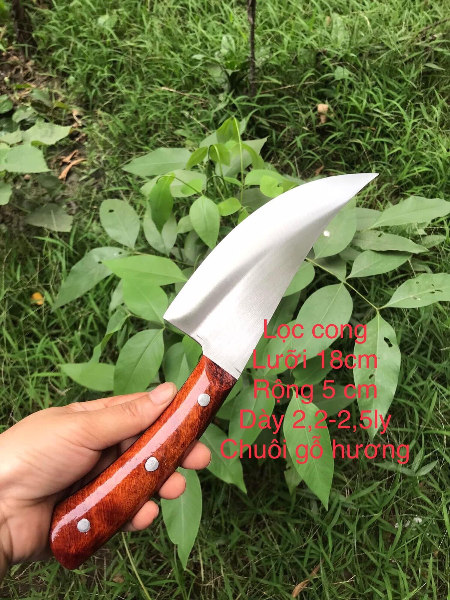 Dao cong lọc, thái thép không rỉ dùng là thích