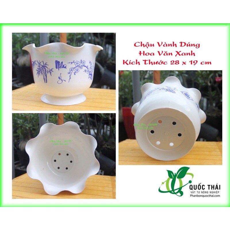 Chậu Tai Bèo,kích thước 28x19cm,màu trắng